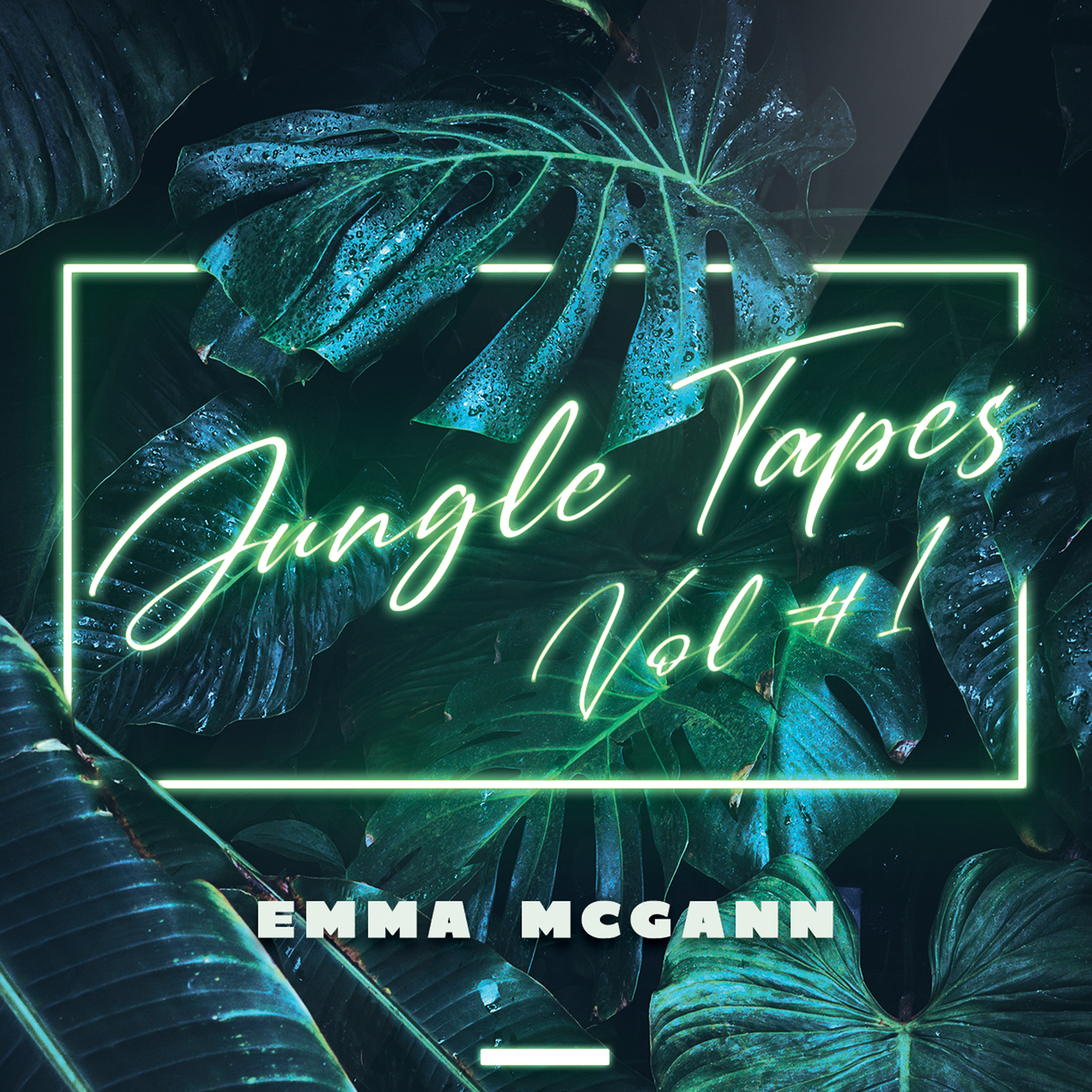 Jungle Tapes Vol. #1 Album (Signed)
