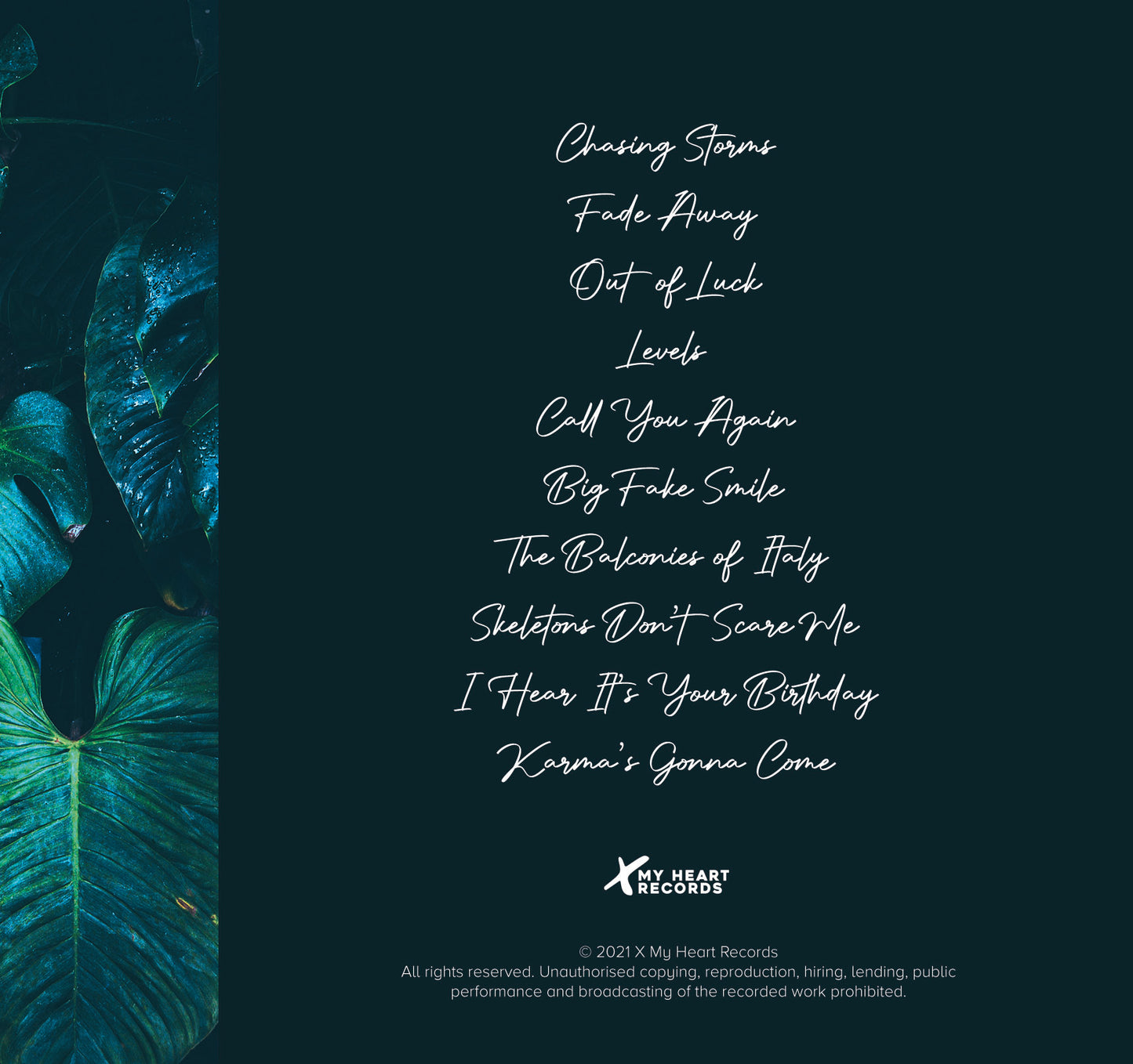 Jungle Tapes Vol. #1 Album (Signed)